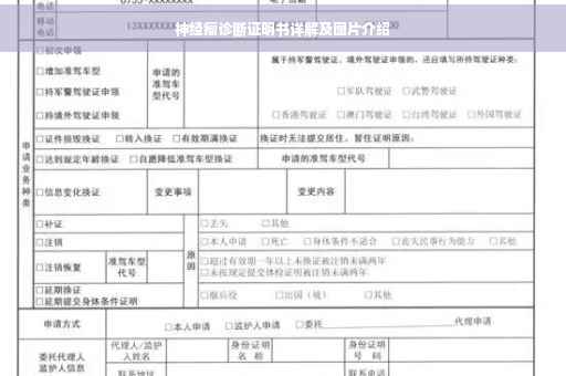 神经瘤诊断证明书详解及图片介绍