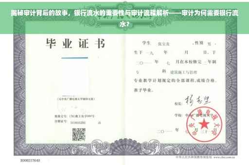 揭秘审计背后的故事，银行流水的重要性与审计流程解析——审计为何需要银行流水？