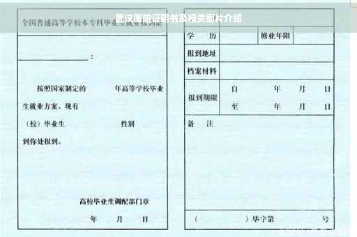 武汉医院证明书及相关图片介绍