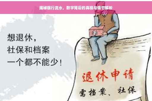 揭秘银行流水，数字背后的真相与细节解析