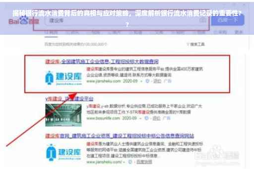 揭秘银行流水消费背后的真相与应对策略，深度解析银行流水消费记录的重要性??
