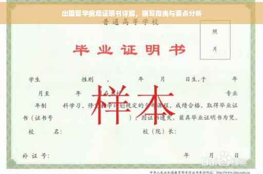 出国留学病危证明书详解，撰写指南与要点分析