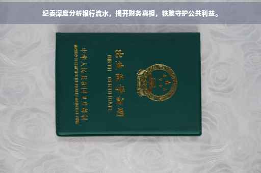 纪委深度分析银行流水，揭开财务真相，铁腕守护公共利益。