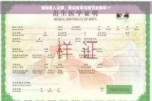 揭秘收入证明，背后故事与细节全解析??