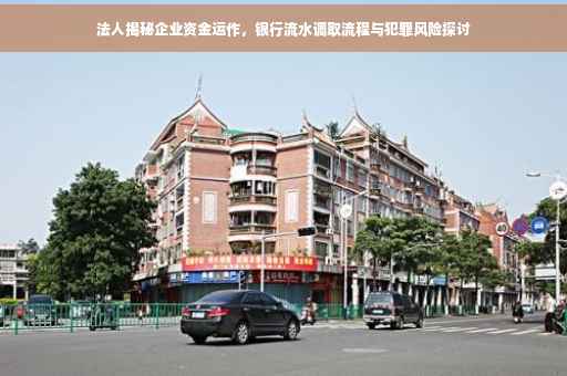 法人揭秘企业资金运作，银行流水调取流程与犯罪风险探讨