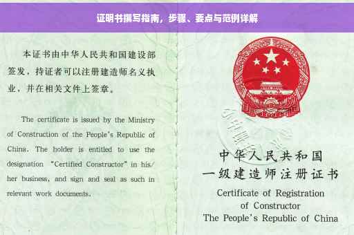 证明书撰写指南，步骤、要点与范例详解
