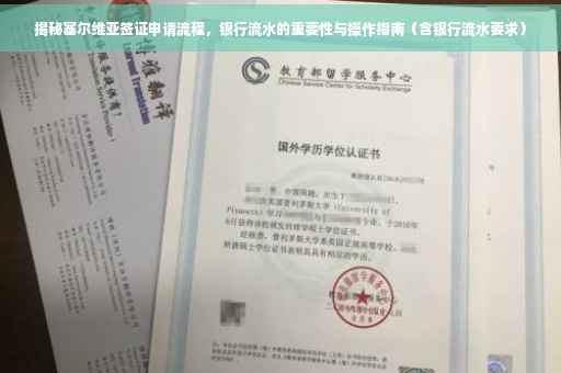 揭秘塞尔维亚签证申请流程，银行流水的重要性与操作指南（含银行流水要求）
