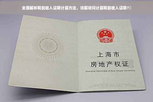 全面解析税前收入证明计算方法，详解如何计算税前收入证明?✨