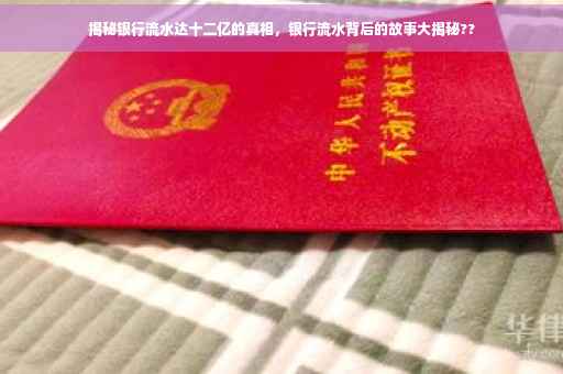 揭秘银行流水达十二亿的真相，银行流水背后的故事大揭秘??