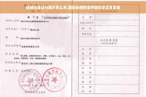 标榜毕业证书图片怎么弄,国际标榜职业学院毕业证含金量