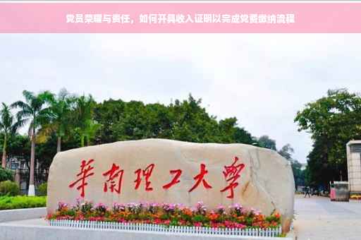 党员荣耀与责任，如何开具收入证明以完成党费缴纳流程