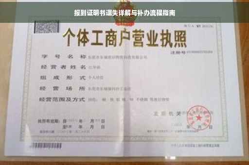 报到证明书遗失详解与补办流程指南