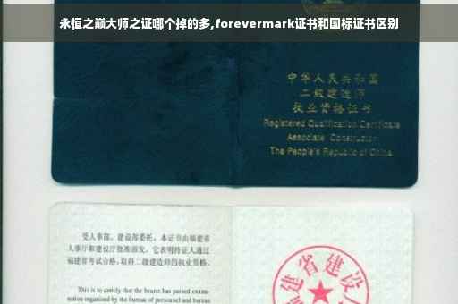 永恒之巅大师之证哪个掉的多,forevermark证书和国标证书区别