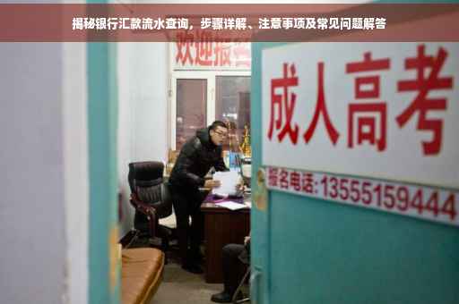 揭秘银行汇款流水查询，步骤详解、注意事项及常见问题解答