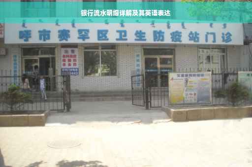 银行流水明细详解及其英语表达