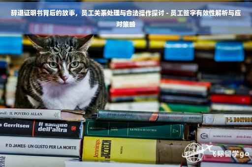 辞退证明书背后的故事，员工关系处理与合法操作探讨 - 员工签字有效性解析与应对策略