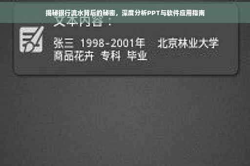 揭秘银行流水背后的秘密，深度分析PPT与软件应用指南