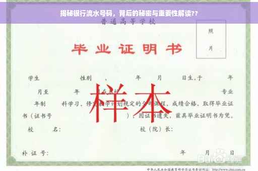 揭秘银行流水号码，背后的秘密与重要性解读??