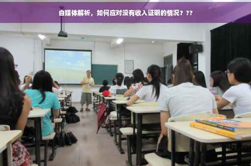 自媒体解析，如何应对没有收入证明的情况？??
