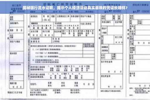 揭秘银行流水证明，揭示个人经济活动真实面貌的凭证长啥样？