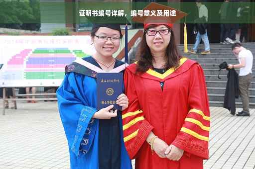 证明书编号详解，编号意义及用途