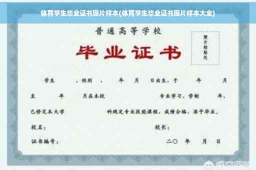 体育学生毕业证书图片样本(体育学生毕业证书图片样本大全)