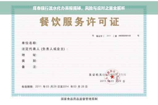 珲春银行流水代办真相揭秘，风险与应对之策全解析