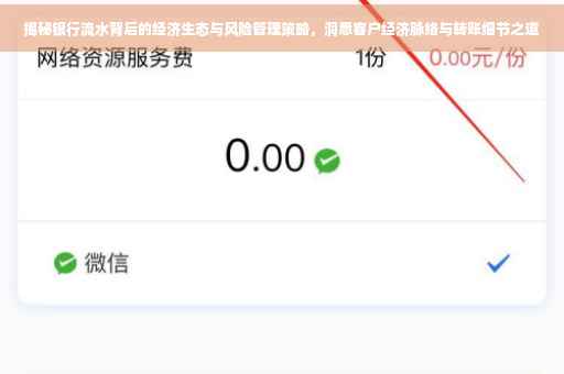 揭秘银行流水背后的经济生态与风险管理策略，洞悉客户经济脉络与转账细节之道