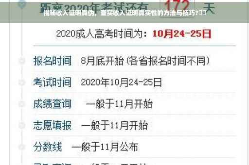 揭秘收入证明真伪，查实收入证明真实性的方法与技巧?⚡️