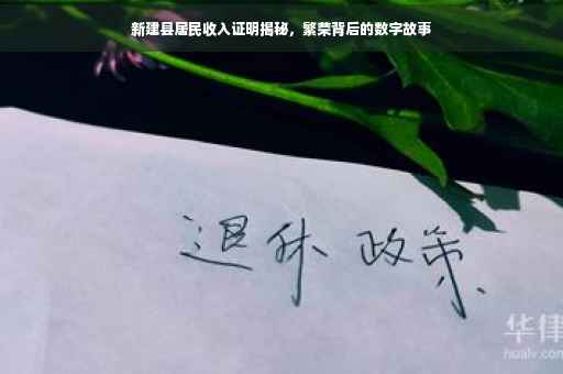 新建县居民收入证明揭秘，繁荣背后的数字故事