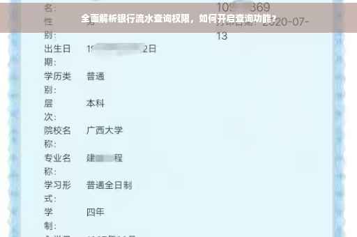 全面解析银行流水查询权限，如何开启查询功能？