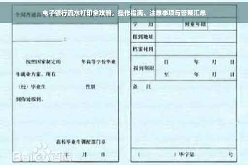 电子银行流水打印全攻略，操作指南、注意事项与答疑汇总