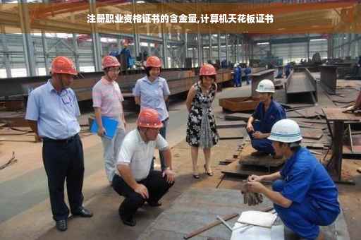 注册职业资格证书的含金量,计算机天花板证书