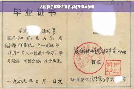 衣服鞋子鉴定证明书详解及图片参考