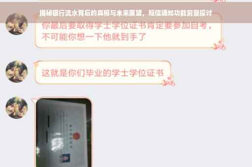 揭秘银行流水背后的真相与未来展望，短信通知功能前景探讨