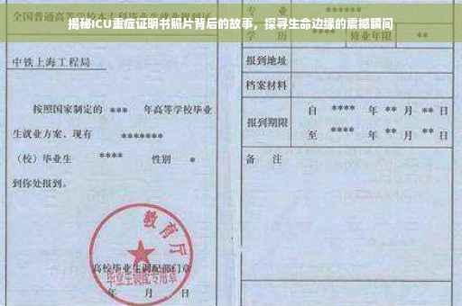 揭秘ICU重症证明书照片背后的故事，探寻生命边缘的震撼瞬间