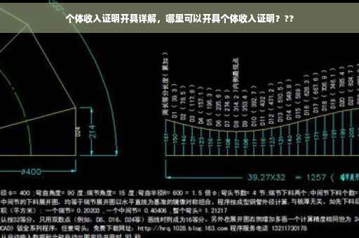 个体收入证明开具详解，哪里可以开具个体收入证明？??