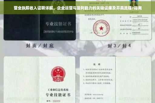 营业执照收入证明详解，企业运营与盈利能力的关键证据及开具流程?指南