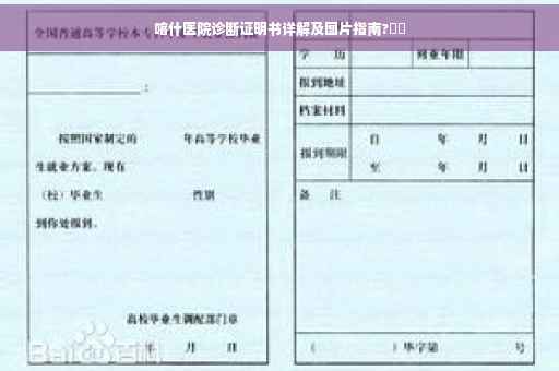 喀什医院诊断证明书详解及图片指南?⚡️