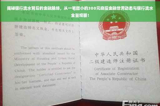 揭秘银行流水背后的金融脉络，从一笔微小的300元窥探金融世界动态与银行流水全景观察！