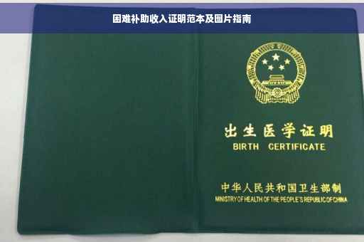 困难补助收入证明范本及图片指南