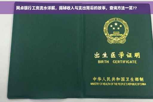 网点银行工资流水详解，揭秘收入与支出背后的故事，查询方法一览??