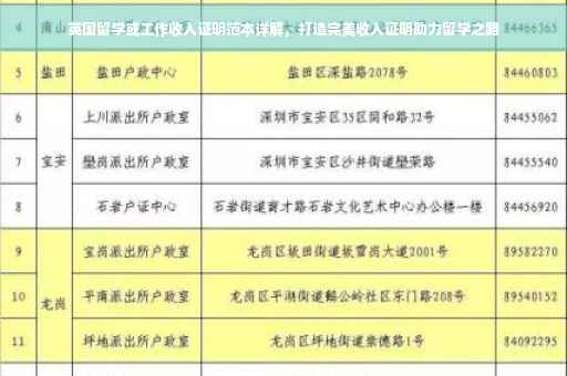 英国留学或工作收入证明范本详解，打造完美收入证明助力留学之路