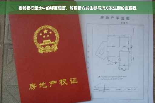 揭秘银行流水中的秘密语言，解读借方发生额与贷方发生额的重要性
