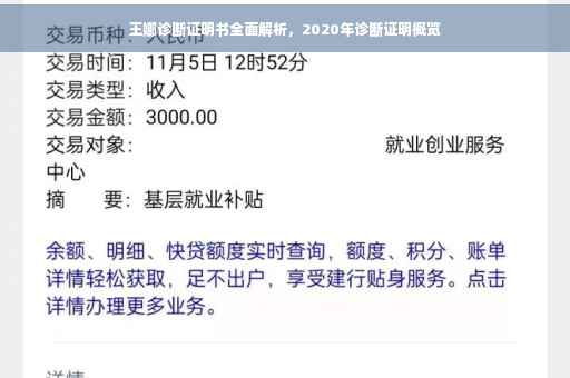 王娜诊断证明书全面解析，2020年诊断证明概览