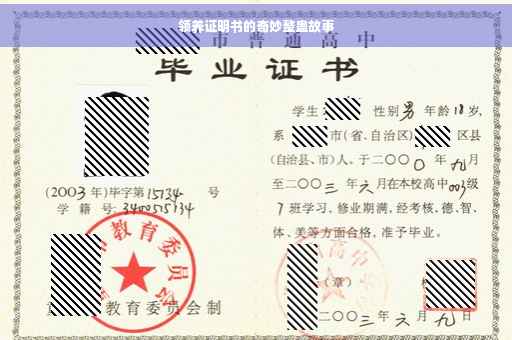 领养证明书的奇妙整蛊故事