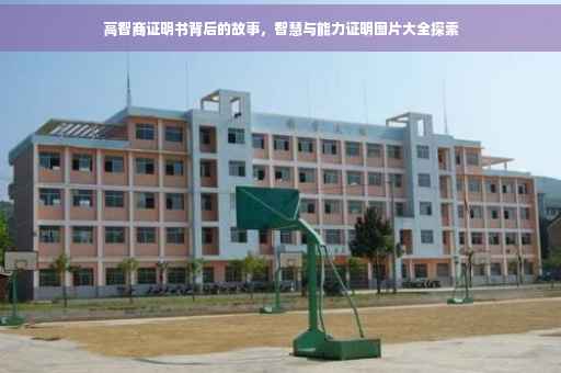 高智商证明书背后的故事，智慧与能力证明图片大全探索