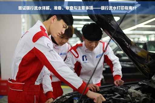 签证银行流水详解，准备、审查与注意事项——银行流水打印指南??