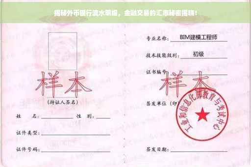 揭秘外币银行流水明细，金融交易的汇率秘密揭晓！