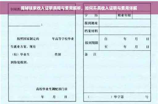 揭秘链家收入证明真相与费用解析，如何开具收入证明与费用详解
